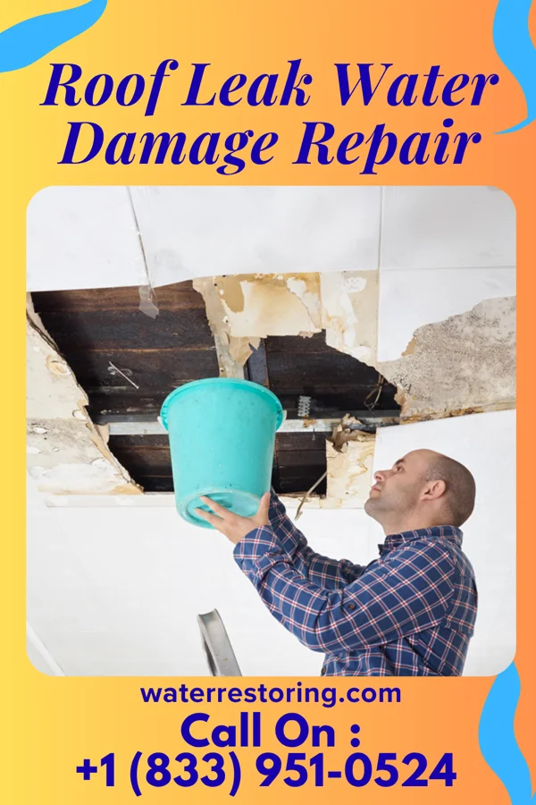 Roof Leak Water Damage Repair in Lake Bridgeport, TX